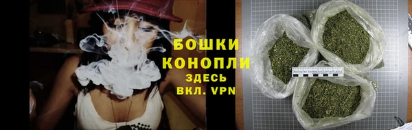 дживик Липки
