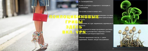 первитин Лиски