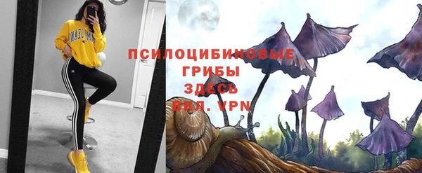 дживик Липки