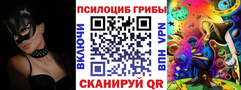 Купить где  Полярный  Псилоцибиновые грибы MAGIC MUSHROOMS 