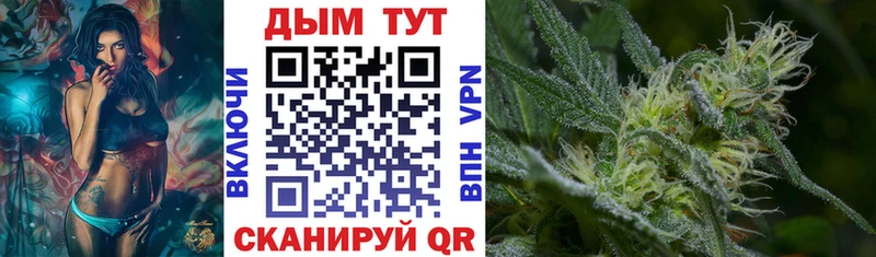 Купить закладки  Полярный  Бошки марихуана семена 